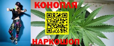 сатива Нарткала