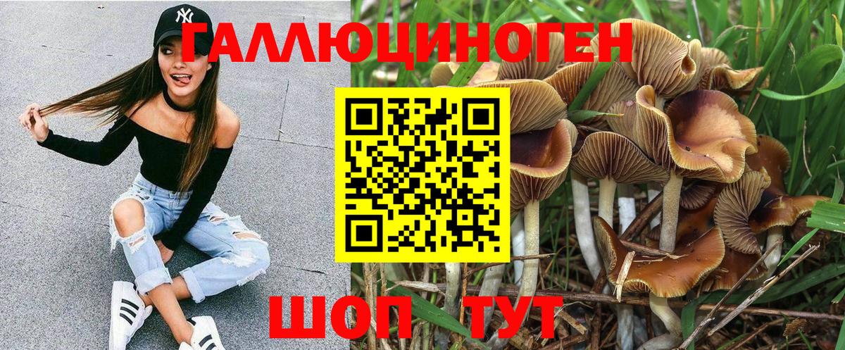 Чебаркуль  Галлюциногенные грибы Psilocybine cubensis  Вход с VPN 