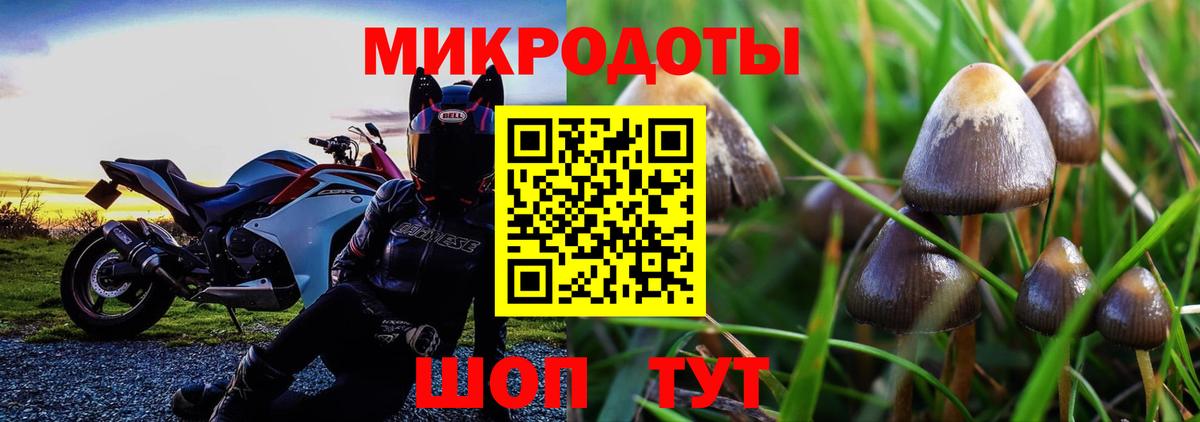 Псилоцибиновые грибы Psilocybe Чебаркуль